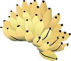 Illustration of banana bunch