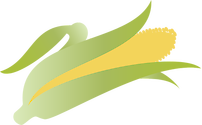 Illustration of corn cob with husk