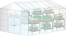 Illustration of greenhouse