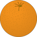 Illustration of orange