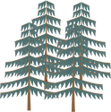 Illustration of pine plantation