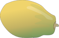 Illustration of papaya