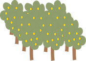 Illustration of orchard