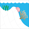Illustration of reef seagrass habitat