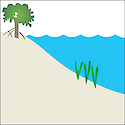 Illustration of coastal seagrass habitat
