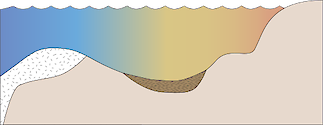 Illustration of two-dimensional coastline base with clastic and carbonate sediments