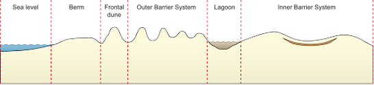 Illustration of coastline base with sand dune gradient from sea level to berm, frontal dune, outer barrier system, lagoon, and inner barrier system