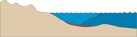 Illustration of estuary base with dunes and salt wedge