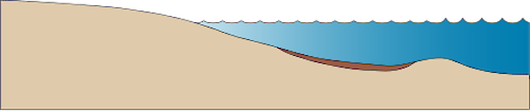 Illustration of open estuary base with mud deposits