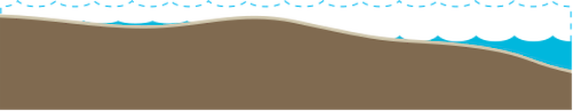 Illustration of habitat base with intertidal mudflat