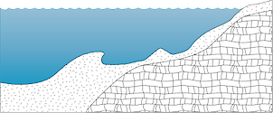 Illustration of habitat base with exposed sand and calcareous sediment base