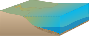 Illustration of estuary base with stratified water column