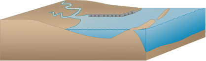 Illustration of estuary base with modified coastline and barrier islands
