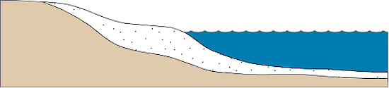 Illustration of subtropical estuary base