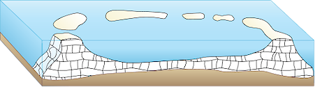 As per Darwin's theory about the formation of coral atolls, this illustration shows the remaining coral atoll following subsidence of the original volcanic island. 