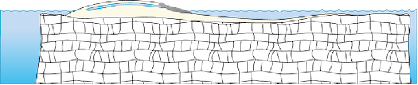 Illustration of patch reef base with coral cay and lagoon
