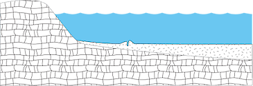 Illustration of intertidal reef base