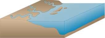 Illustration of a coastline with three rivers and barrier islands