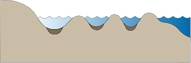 Illustration of a coastal floodplain