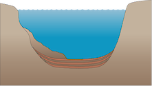 Illustration of lake cross sectional base with turbidite and laminations