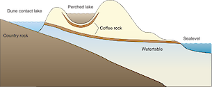 Illustration of lake base with perched lake and dune contact lake