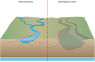 Illustration of river base comparison between natural and developed systems