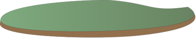 Illustration of barrier island with mud banks