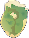 Illustration of Amphidinium operculatum (Dinoflagellate) , an epi-benthic/epiphytic algae that is considered toxic and linked to ciguatera toxins.