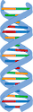 Illustration of DNA strand