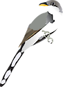 Illustration of Coccyzus americanus (Yellow-billed Cuckoo)