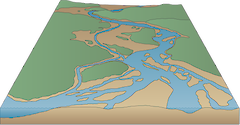 Illustration of coastal braided river base