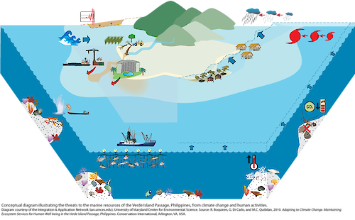 Multiple impacts threaten the natural resources of the Verde Island Passage. Human activity and natural threats include overfishing, destructive and illegal fishing practices, unsustainable coastal development, unsustainable land use practices, and natural disasters. Climate change threats include increased sea surface temperature, sea level rise, increased storm frequency and intensity, increased rainfall, and ocean acidification.