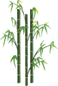 Illustration of bamboo