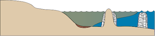 Illustration of a 2D estuary with continental island and offshore reef