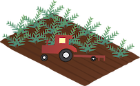 Illustration of harvesting