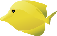 Illustration of Yellow Tang (Zebrasoma Flavescens)