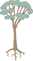Illustration of a tall eucalypt with root system