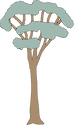Illustration of a tall Eucalypt