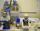 Isotope ratio mass spectrometer with water bath to set samples at a constant temperature