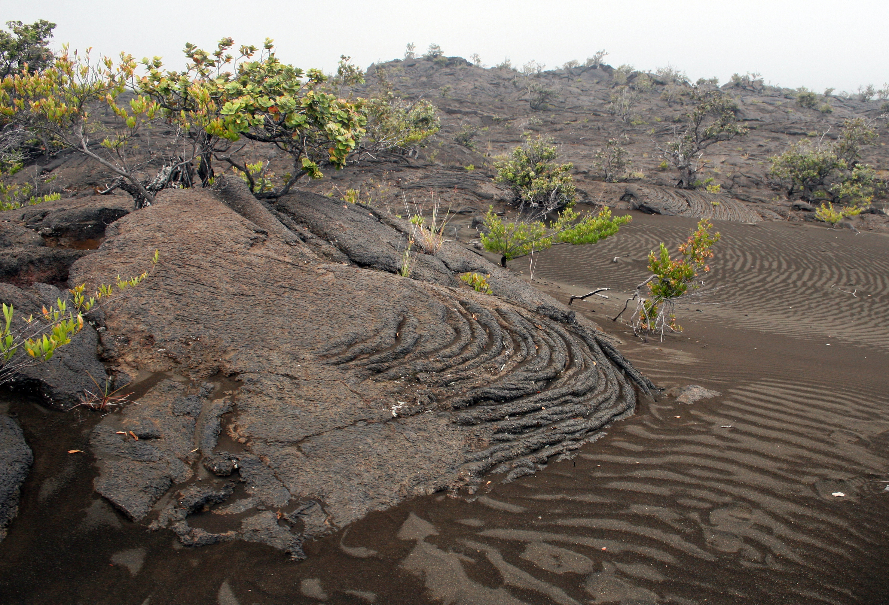 Pahoehoe Lava