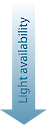 Illustration of light availability, which decreases with increasing water depth.