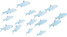Illustration of a school of fish.