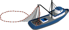 Illustration of a purse seine, with net extended.