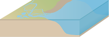 Illustration of a 3D estuary, with braided river and mudflat.