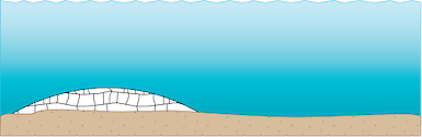 Illustration of sand and reef habitat.