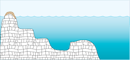 Illustration of reef habitat.