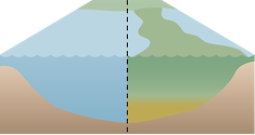 3D comparison of a healthy vs eutrophic river system.