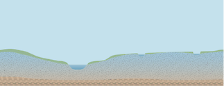 Cross-section of a river showing a high water table.