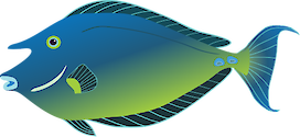 Illustration of Naso unicornis (Bluespine unicornfish)