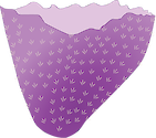 Illustration of a purple sponge.
